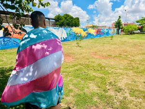 Uma pessoa vista de costas, envolta na bandeira do orgulho transgênero (azul, rosa e branco) como uma capa. Ela está em um ambiente externo ensolarado, diante de um longo muro grafitado com desenhos de araras e ondas. O cenário inclui gramado verde e um céu azul com nuvens. A imagem transmite uma mensagem de visibilidade, orgulho e ocupação de espaço.